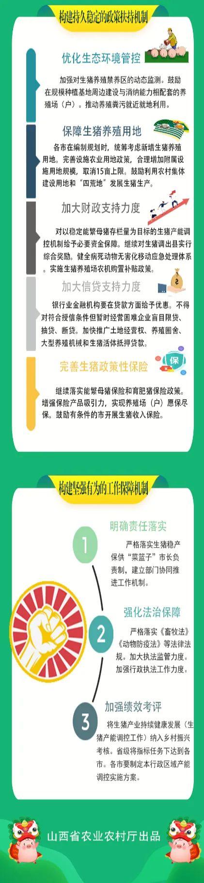 生豬3.jpg