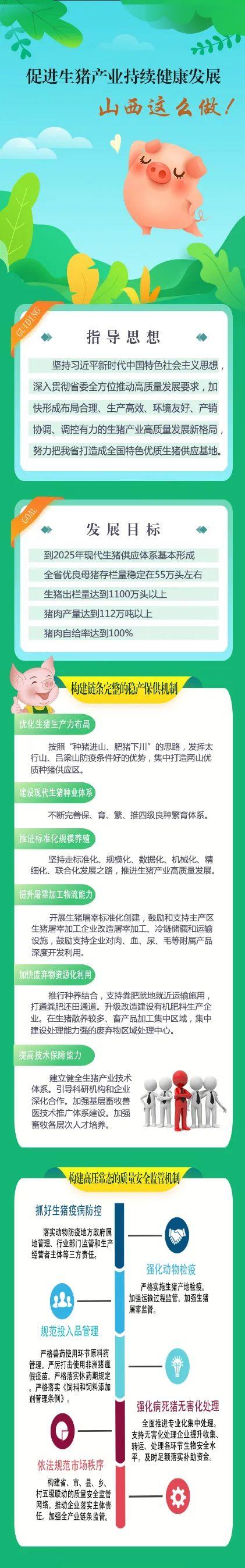 生豬1.jpg